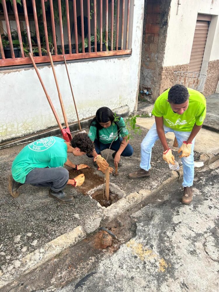 Uma Árvore na Minha Calçada: jovens do Casa do Pequeno Jardineiro realizam plantio de árvores em nova parceria com o IPDSA