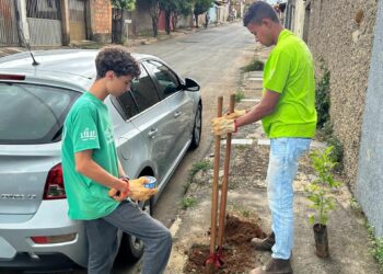 Uma Árvore na Minha Calçada: jovens do Casa do Pequeno Jardineiro realizam plantio de árvores em nova parceria com o IPDSA