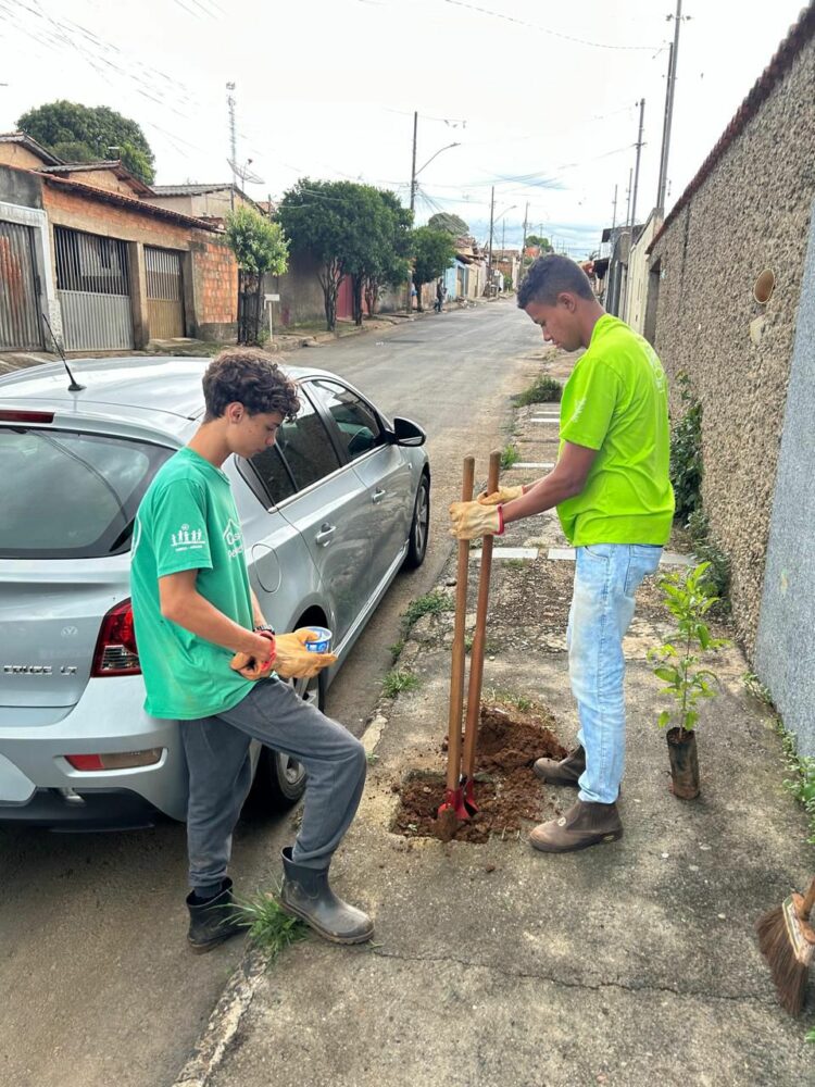 Uma Árvore na Minha Calçada: jovens do Casa do Pequeno Jardineiro realizam plantio de árvores em nova parceria com o IPDSA