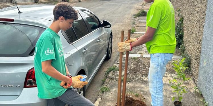 Uma Árvore na Minha Calçada: jovens do Casa do Pequeno Jardineiro realizam plantio de árvores em nova parceria com o IPDSA