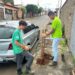 Uma Árvore na Minha Calçada: jovens do Casa do Pequeno Jardineiro realizam plantio de árvores em nova parceria com o IPDSA