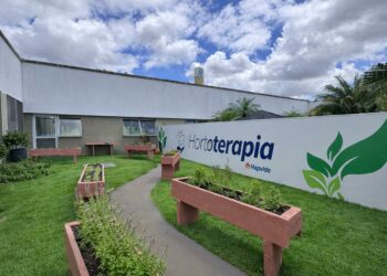 Hospital Madrecor implanta horta terapêutica como estratégia de apoio à recuperação dos pacientes