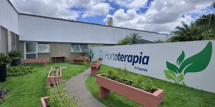 Hospital Madrecor implanta horta terapêutica como estratégia de apoio à recuperação dos pacientes