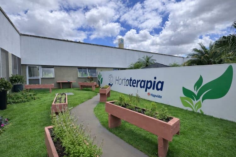 Hospital Madrecor implanta horta terapêutica como estratégia de apoio à recuperação dos pacientes