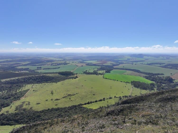 Novo investimento fortalece projeto de terras raras em Araxá no cenário mundial