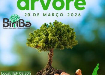 Associação Cultural Axé Dendê promove plantio de árvores em Paracatu-MG para celebrar o Dia Internacional das Florestas