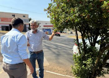 Lei pioneira de Araxá para combate à murta passa a ser adotada por outros municípios mineiros