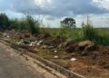 Prefeitura endurece fiscalização e aplicará multas por descarte irregular de lixo