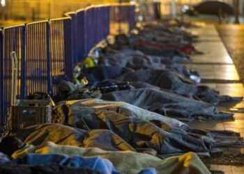 PESSOAS, CÃES E GATOS