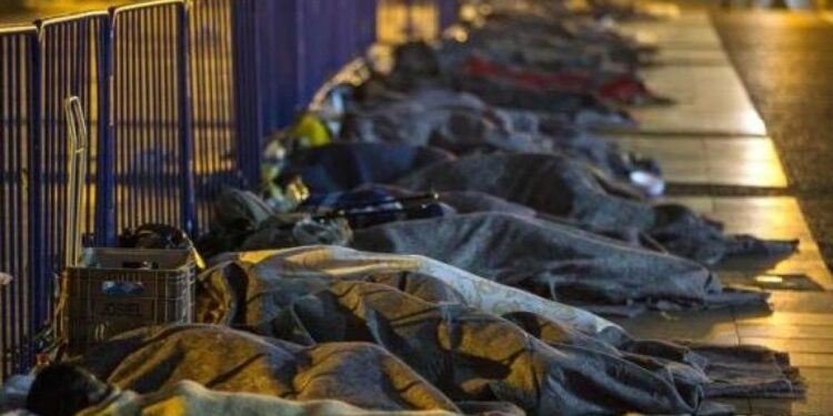 PESSOAS, CÃES E GATOS