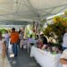 Artesanato de Araxá ganha impulso com iniciativa voltada à geração de renda e valorização cultural