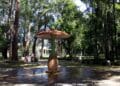 AS ÁGUAS DO PARQUE