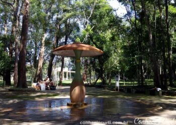 AS ÁGUAS DO PARQUE