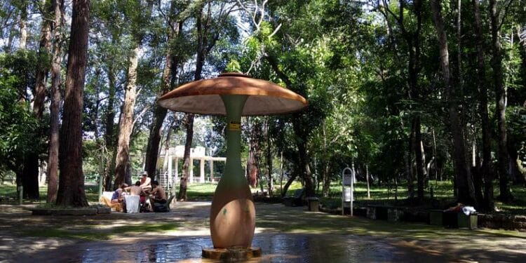 AS ÁGUAS DO PARQUE