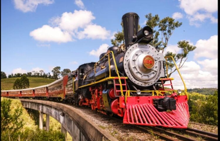 MASSAGENS EM COLUNA – Um Trem no nosso corpo