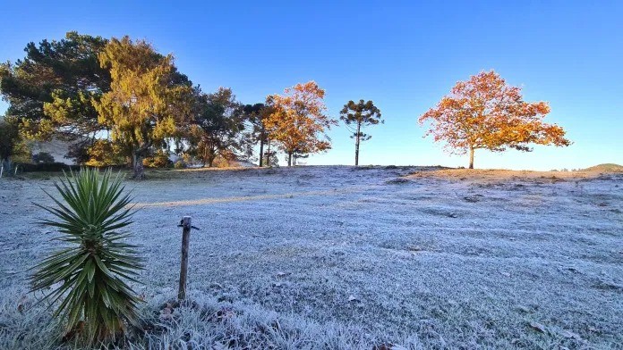 O PERRENGUE DO FRIO