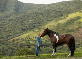 Cavalos respondem ao que sentimos? Estudos buscam entender essa relação