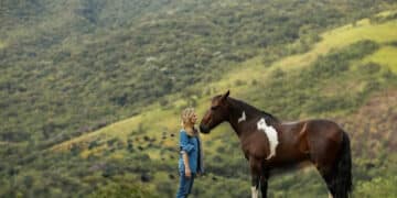 Cavalos respondem ao que sentimos? Estudos buscam entender essa relação