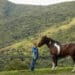 Cavalos respondem ao que sentimos? Estudos buscam entender essa relação