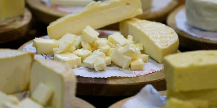 ExpoQueijo Brasil começa nesta semana com shows gratuitos e mais de 8 toneladas de queijo em Araxá