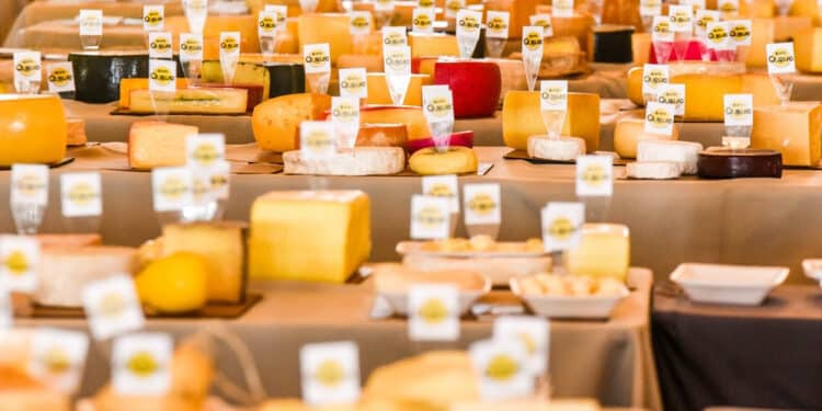 Mais de 8 toneladas de queijo e 19 países: Minas abre a maior vitrine do queijo artesanal nas Américas