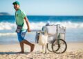 UM DIA DE PRAIA