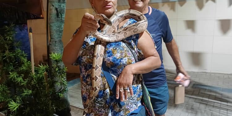 A MULHER DA COBRA