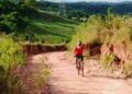 DO PEDAL À PALAVRA: A TRAJETÓRIA DO CICLISTA PEREGRINO por* ANTONIO trotta