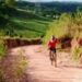 DO PEDAL À PALAVRA: A TRAJETÓRIA DO CICLISTA PEREGRINO por* ANTONIO trotta
