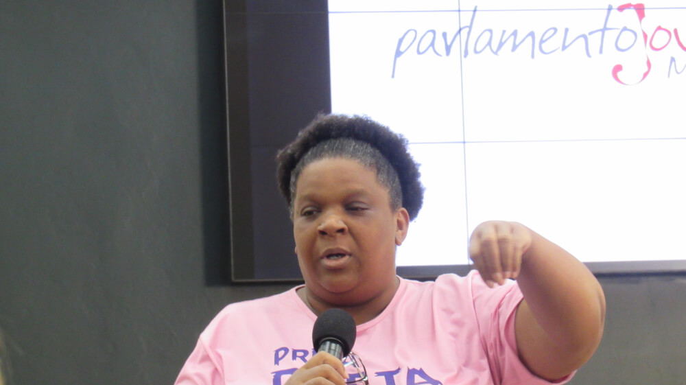 Oficina do Parlamento Jovem chega à Câmara Municipal de Araxá