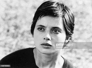 Divagando sobre estrelas