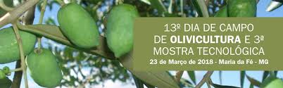 Grupo Pieralisi apresenta nova planta de extração para pequenos produtores de azeite extra virgem em evento de olivicultura em MG